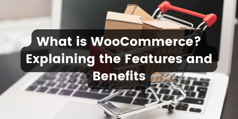 What Is WooCommerce? Explaining the Features and Benefits