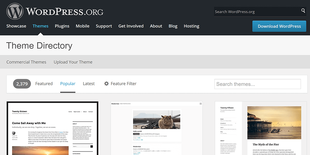 Which Type of WordPress Theme Should You Choose?
